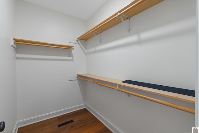 spacious closet featuring wood-type flooring