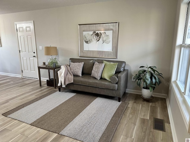 living room with light hardwood / wood-style floors and a textured ceiling