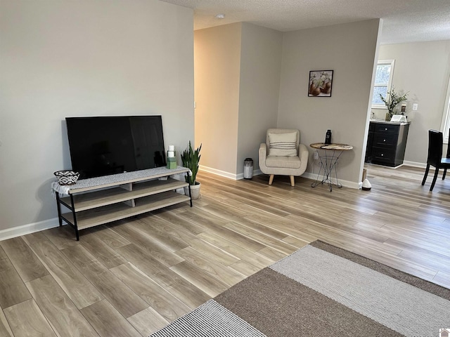 living area with a textured ceiling and light wood-type flooring