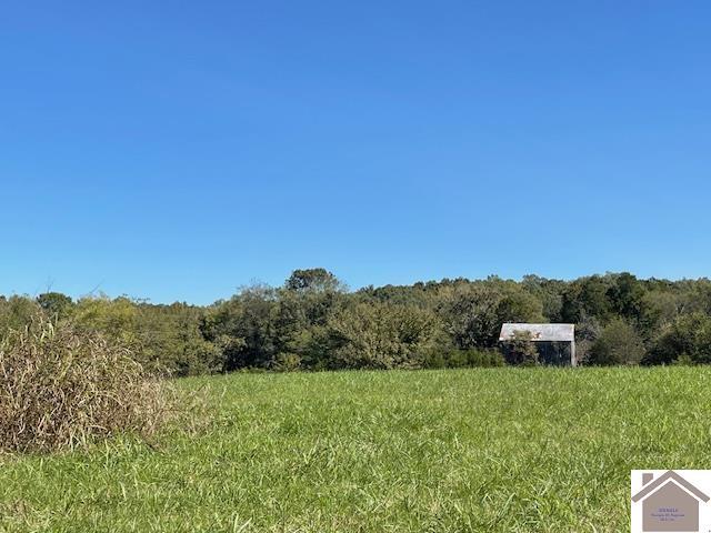 198 Goose Hollow Rd, Cadiz, KY 42211