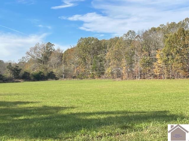 198 Goose Hollow Rd, Cadiz, KY 42211