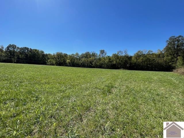 198 Goose Hollow Rd, Cadiz, KY 42211