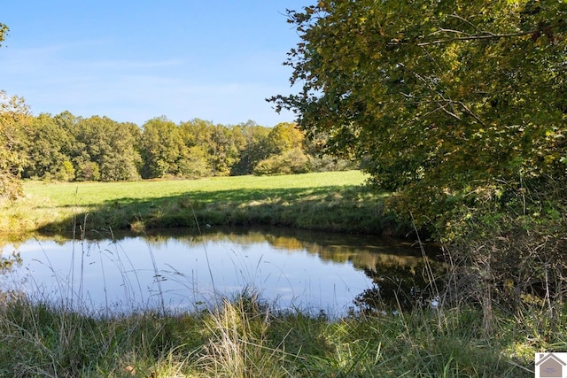 198 Goose Hollow Rd, Cadiz, KY 42211