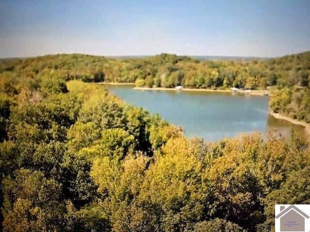 198 Goose Hollow Rd, Cadiz, KY 42211