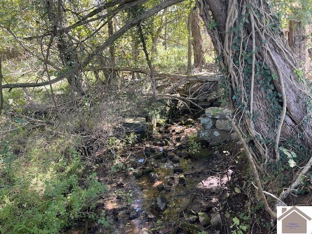 198 Goose Hollow Rd, Cadiz, KY 42211