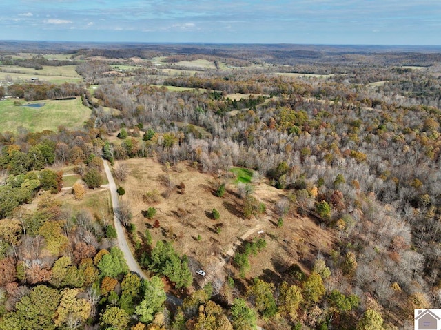 000 Goodsprings Rd, Fredonia KY, 42411 land for sale