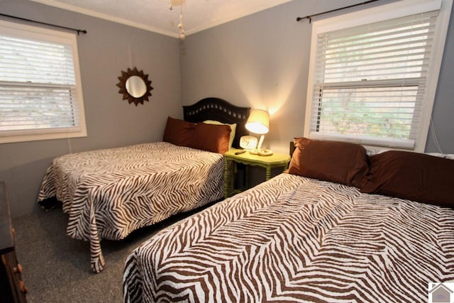 bedroom with carpet, multiple windows, and crown molding