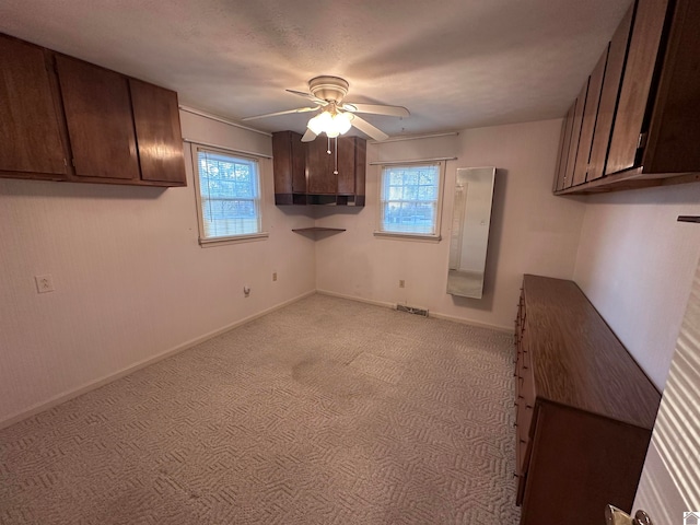 kitchen featuring ceiling fan, dark brown cabinets, and a healthy amount of sunlight