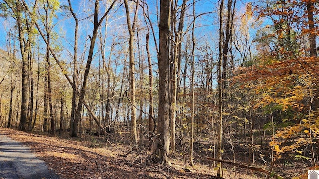 Listing photo 3 for LOT54B Commerce Lndg, Eddyville KY 42038