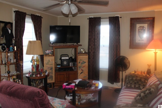 living room featuring ceiling fan and crown molding