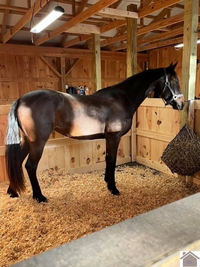 view of stable