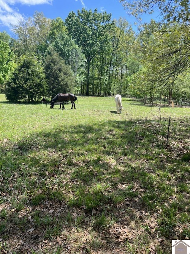 view of yard featuring a rural view