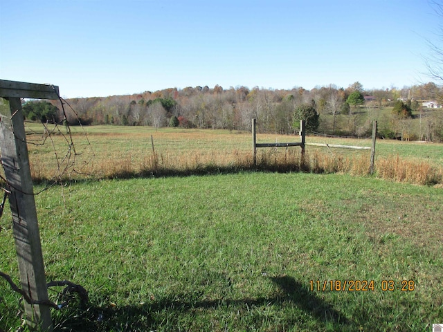 view of yard with a rural view