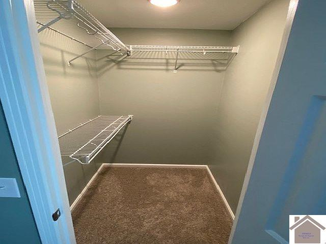 spacious closet with carpet floors