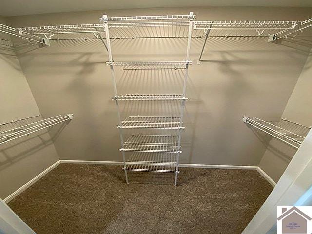 walk in closet with carpet