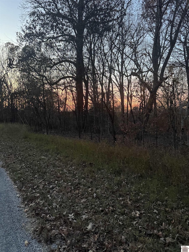 Al Henn Rd, Cadiz KY, 42211 land for sale