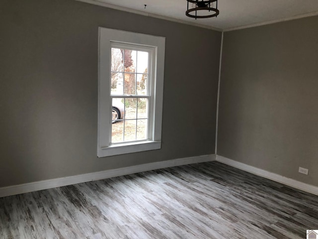 unfurnished dining area with wood-type flooring and crown molding