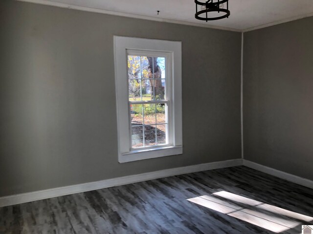 unfurnished dining area featuring wood-type flooring and ornamental molding