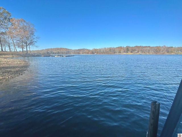 property view of water