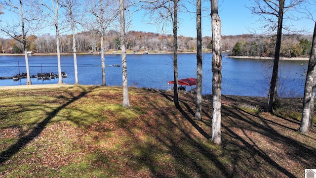 view of water feature