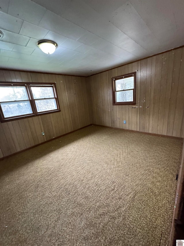 carpeted empty room with a wealth of natural light and wood walls