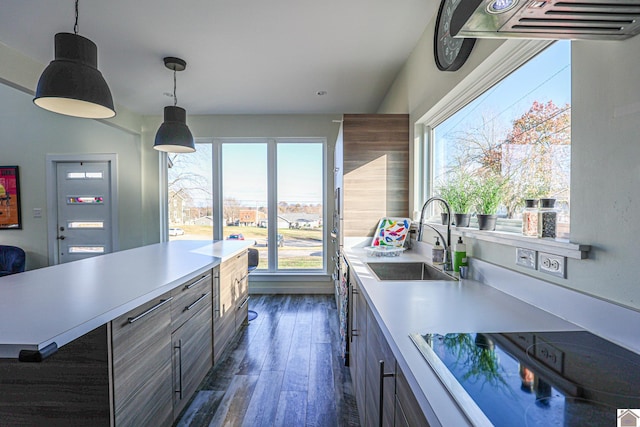 kitchen with cooktop, dark hardwood / wood-style flooring, sink, and pendant lighting