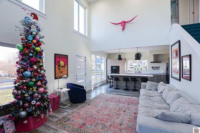 living room with hardwood / wood-style flooring, plenty of natural light, and a towering ceiling