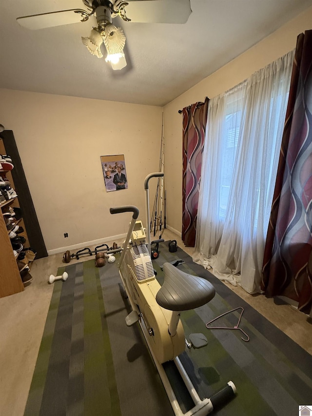 workout area featuring ceiling fan and carpet