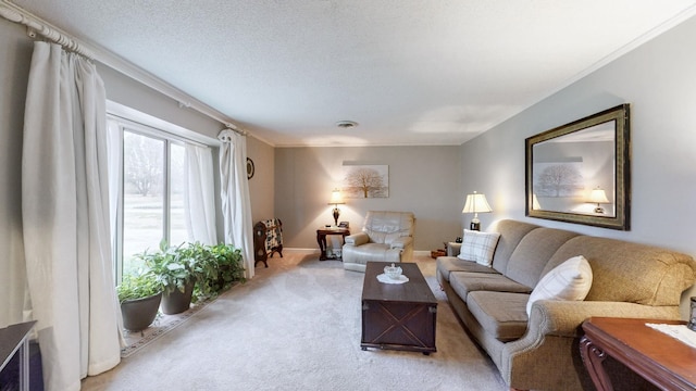 155 County Line Rd, Paducah, KY 42003 - living area featuring light colored carpet and crown molding