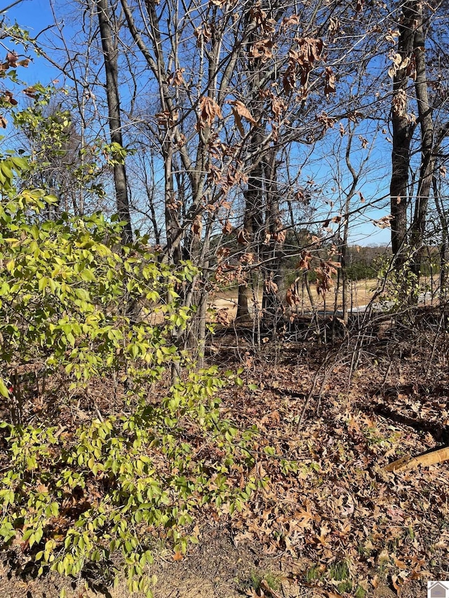 Listing photo 3 for LOT83 Forest Ridge Dr, Paducah KY 42003