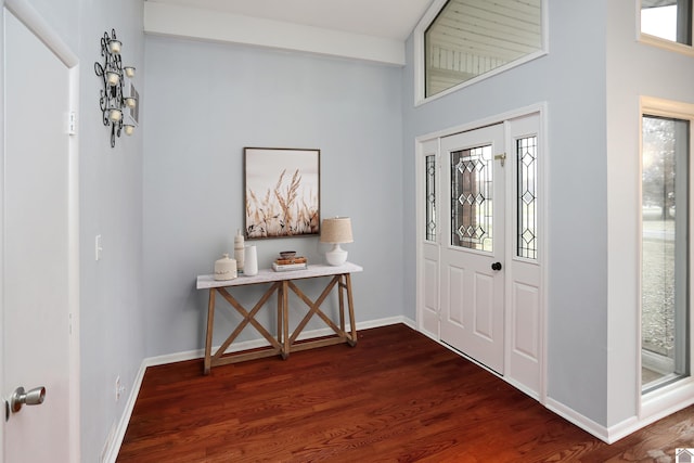 foyer entrance featuring dark hardwood / wood-style flooring