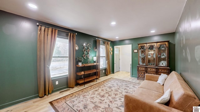 living room with wood-type flooring