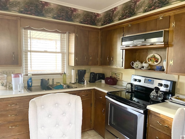 kitchen featuring stainless steel electric stove, sink, and exhaust hood