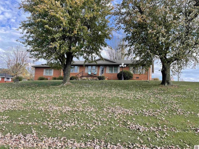 ranch-style house with a front yard