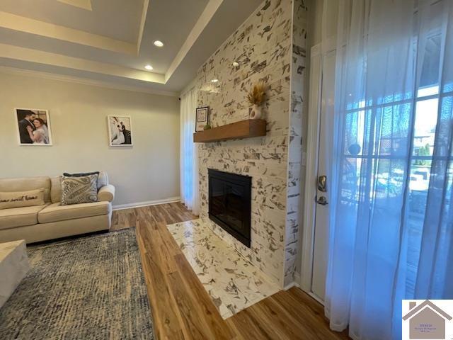 living room featuring hardwood / wood-style floors, a raised ceiling, and a stone fireplace