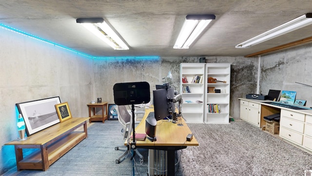 office space featuring carpet floors