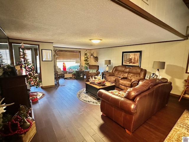 living room with a textured ceiling and dark hardwood / wood-style floors