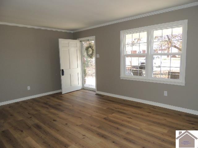 empty room with crown molding and dark wood-type flooring