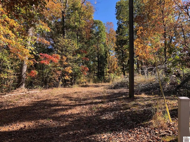 view of landscape