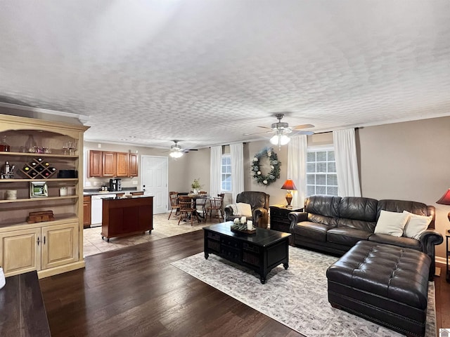 living room featuring ceiling fan, a textured ceiling, and light hardwood / wood-style flooring