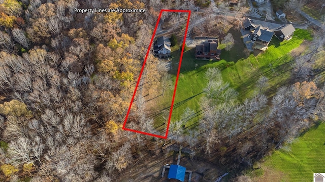 102 Persimmon Pl, Cadiz, KY 42211 - view of subject property featuring property parcel outlined
