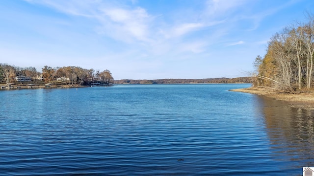 102 Persimmon Pl, Cadiz, KY 42211 - water view