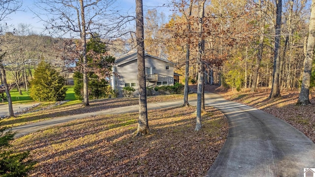 102 Persimmon Pl, Cadiz, KY 42211 - surrounding community with driveway