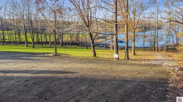 102 Persimmon Pl, Cadiz, KY 42211 - view of grassy yard