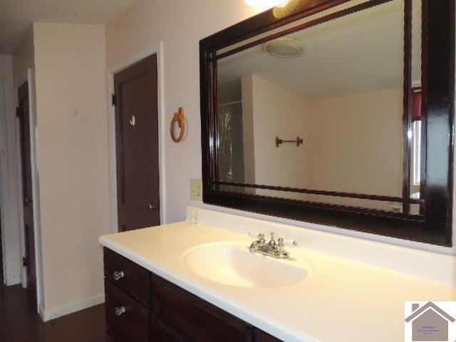 bathroom featuring vanity and curtained shower