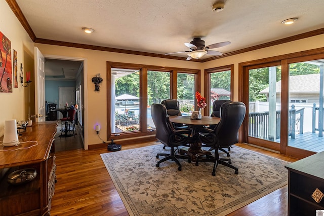 office space featuring a textured ceiling, a wealth of natural light, and dark hardwood / wood-style floors