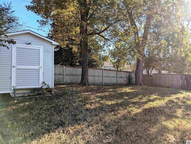 view of yard featuring a storage unit