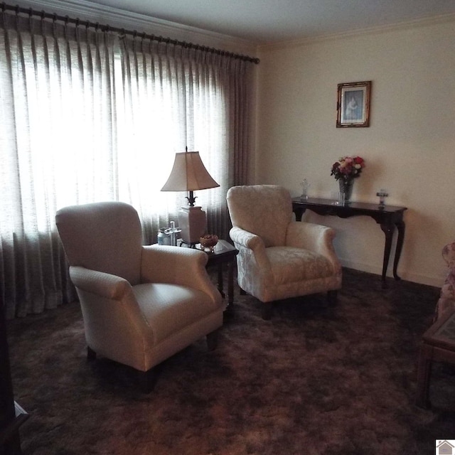 living area featuring dark colored carpet and ornamental molding