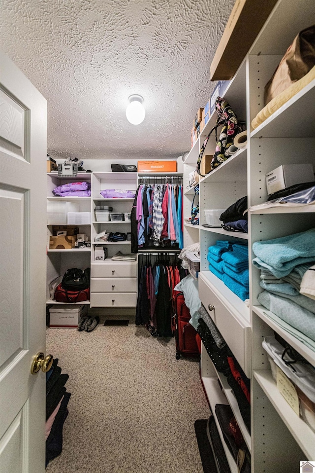 walk in closet featuring carpet