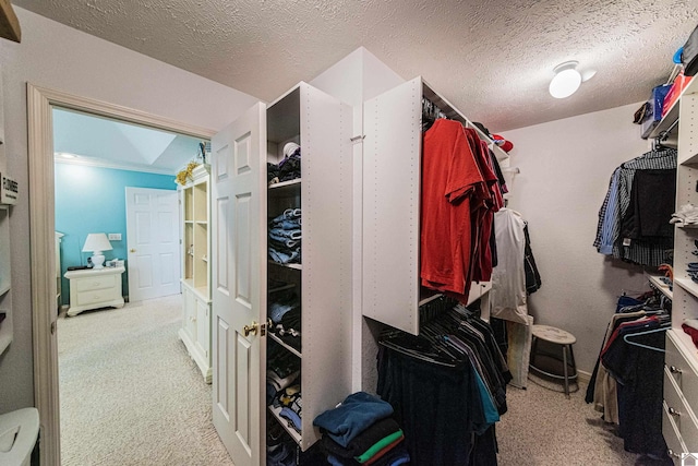 spacious closet featuring light colored carpet